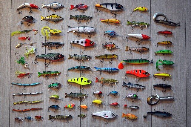 Quel appât pour la pêche ? - Blog